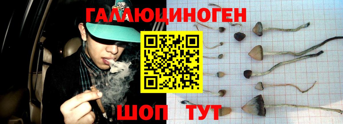 Галлюциногенные грибы ЛСД Городец